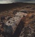 Göbekli Tepe