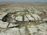 Click for full size image of Göbekli Tepe (PID:95180) Göbekli Tepe
