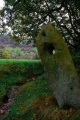 Click for full size image of Robin Hood's Stride (PID:34409) Robin Hood's Stride