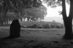 Balnuaran of Clava Centre - PID:39950