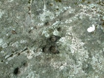 Clachmhor, Culnakirk - PID:29865