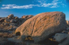 Naxos Island - PID:40401