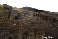 Rano Raraku - PID:26262