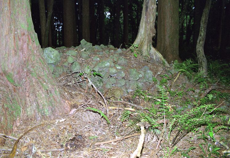 Little Stone City (PID:10903) Little Stone City