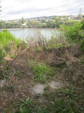 Little Manly East Point Pa - PID:89504