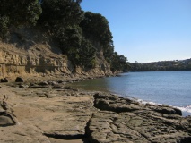 West Manly Pa - PID:90132