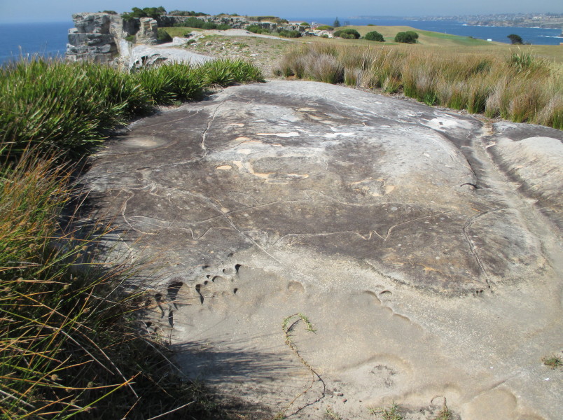 Bondi Golf Course rock art site