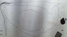 Click for full size image of Berry Island (PID:128177) Berry Island