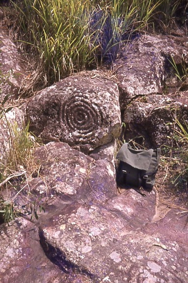 Paita Valley Petroglyphs