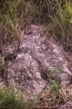 Paita Valley Petroglyphs