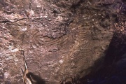 Click for full size image of Paita Valley Petroglyphs (PID:64909) Paita Valley Petroglyphs