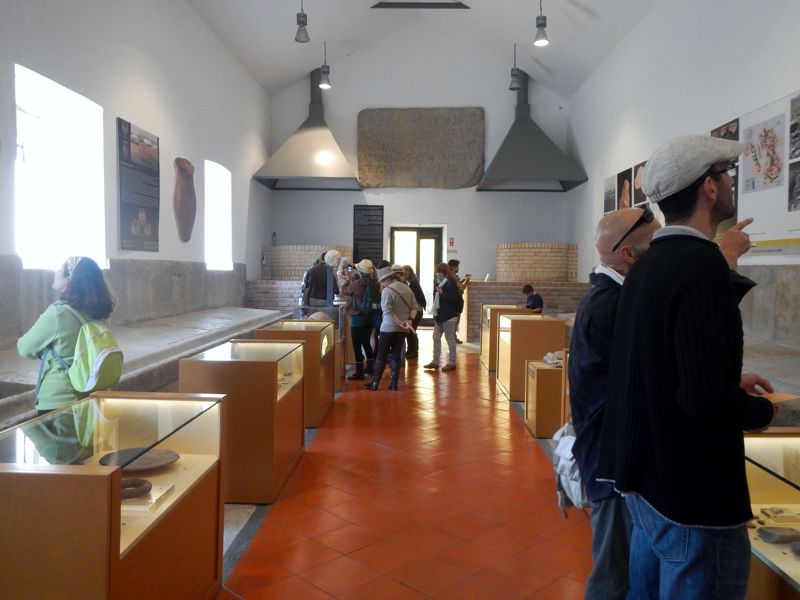 The archaeology room. In here is possible to see a lot of tools and weapon collections from different excavations and periods, from the paleolithic to the roman era. This collections are all part of archaeological surveys made in the municipality of Oeiras.
