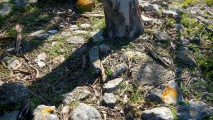 Click for full size image of Castro de Leceia (PID:141564) Castro de Leceia