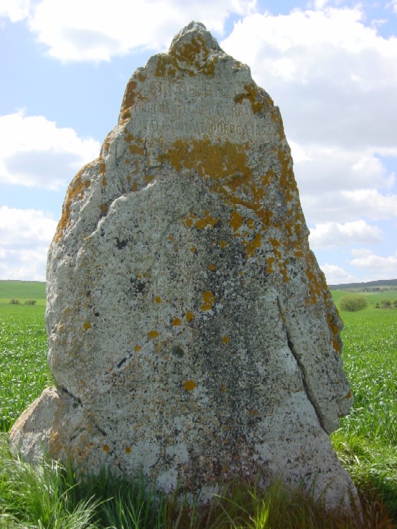 Battle of Atapuerca Stone