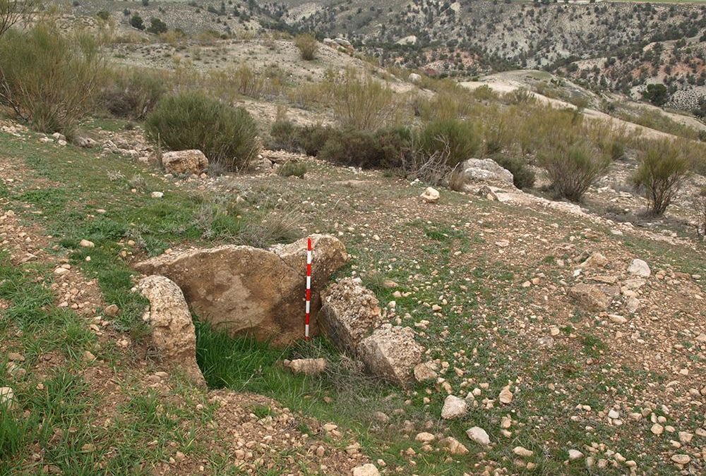 Dolmen del Cortijo de Olivares (PID:221161) Dolmen del Cortijo de Olivares