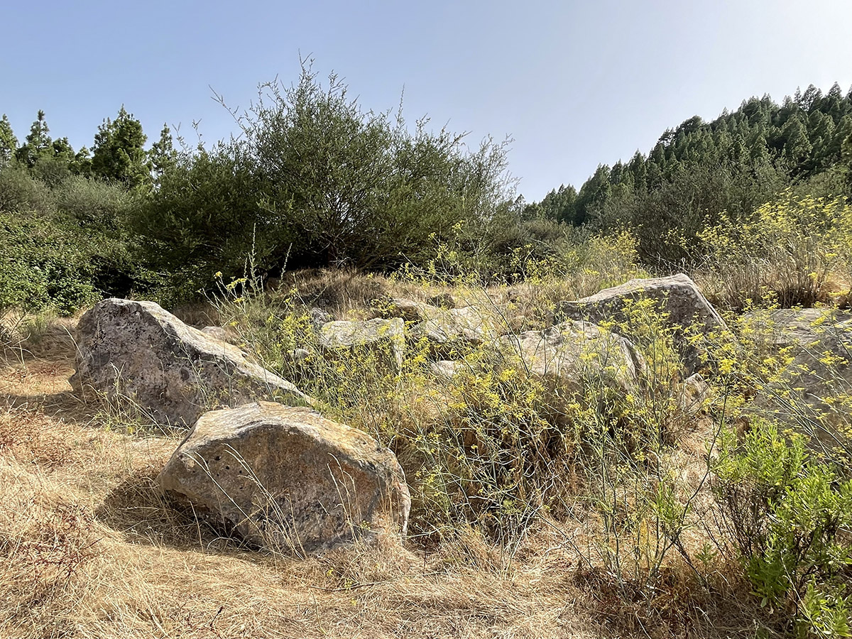 Click for full size image of Zona Arqueologica Los Partidos de Franquis (PID:276987) Zona Arqueologica Los Partidos de Franquis