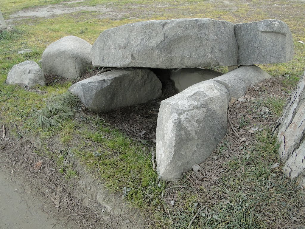 Pedra de l'Arca Dolmen