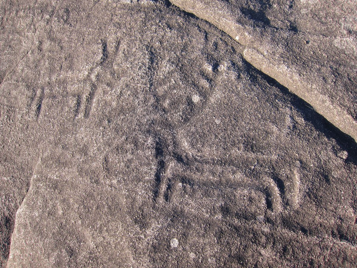 Monte da Gurita Petroglifo