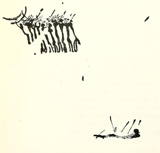 Click for full size image of Cingle de la Mola (PID:98897) Cingle de la Mola