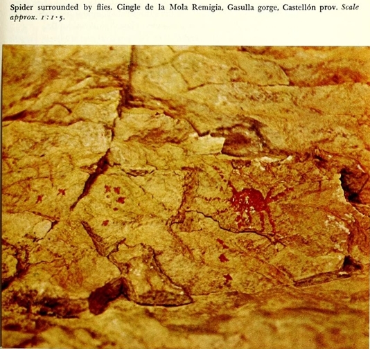 Click for full size image of Cingle de la Mola (PID:98898) Cingle de la Mola