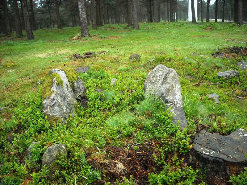 Iturzurigaña Trikuharria (PID:58675) Iturzurigaña Trikuharria