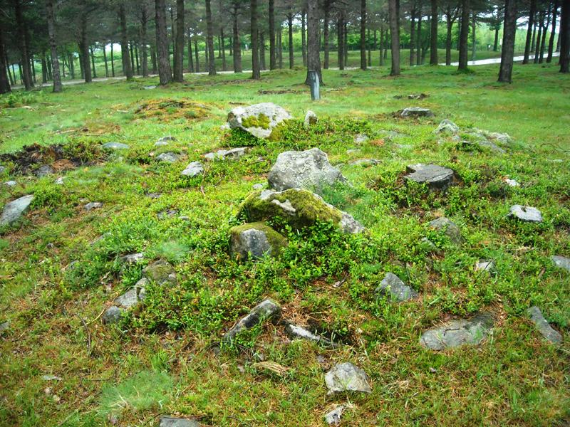 Click for full size image of Iturzurigaña Trikuharria (PID:58674) Iturzurigaña Trikuharria