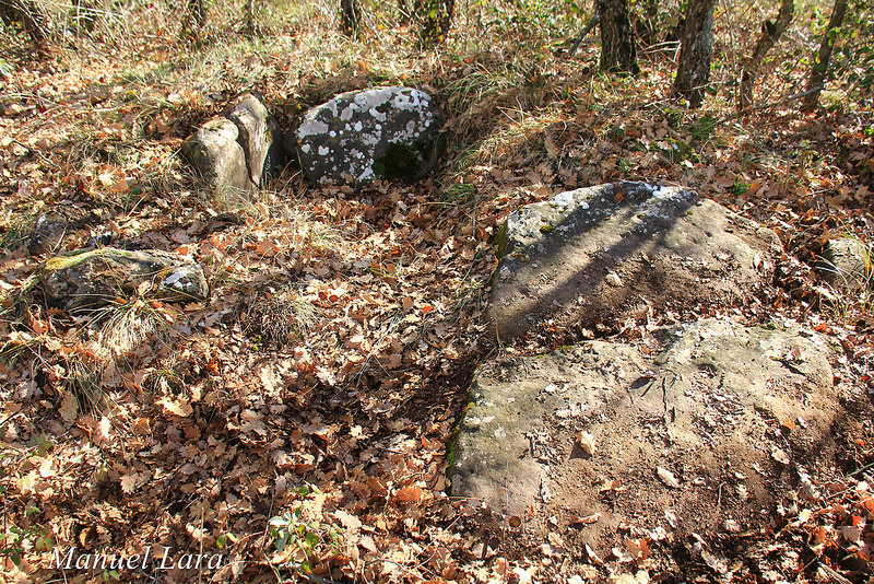 Dolmens Serrat de l'Horabona 1+2