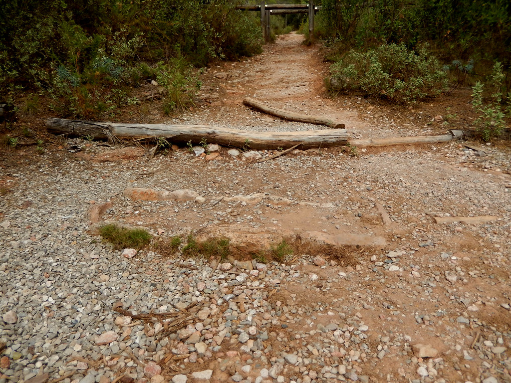 Tombes de Can Robert