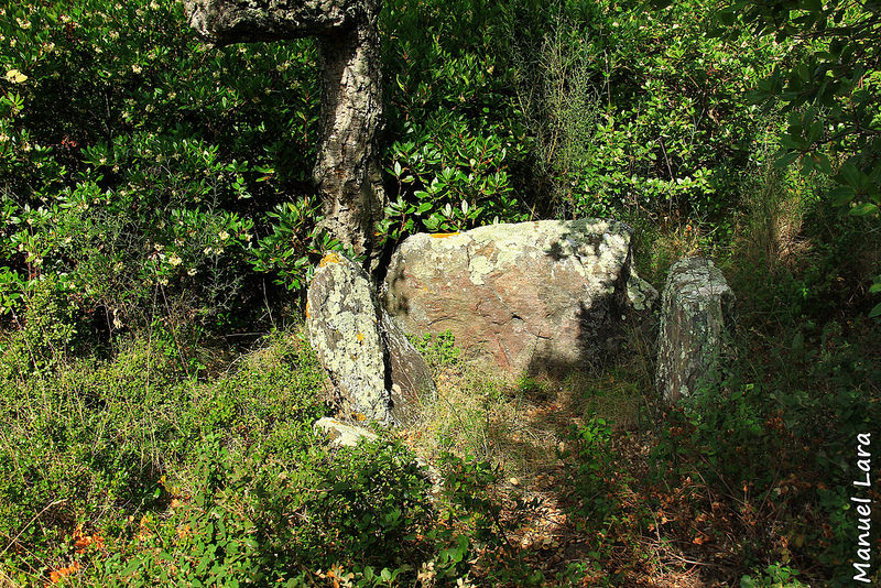 Dolmen D'en Botey (PID:140555) Dolmen D'en Botey