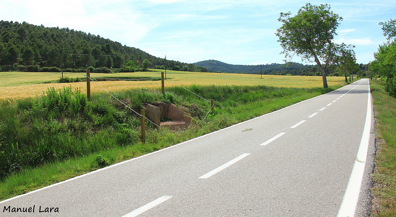 Dolmen Pla del Coll