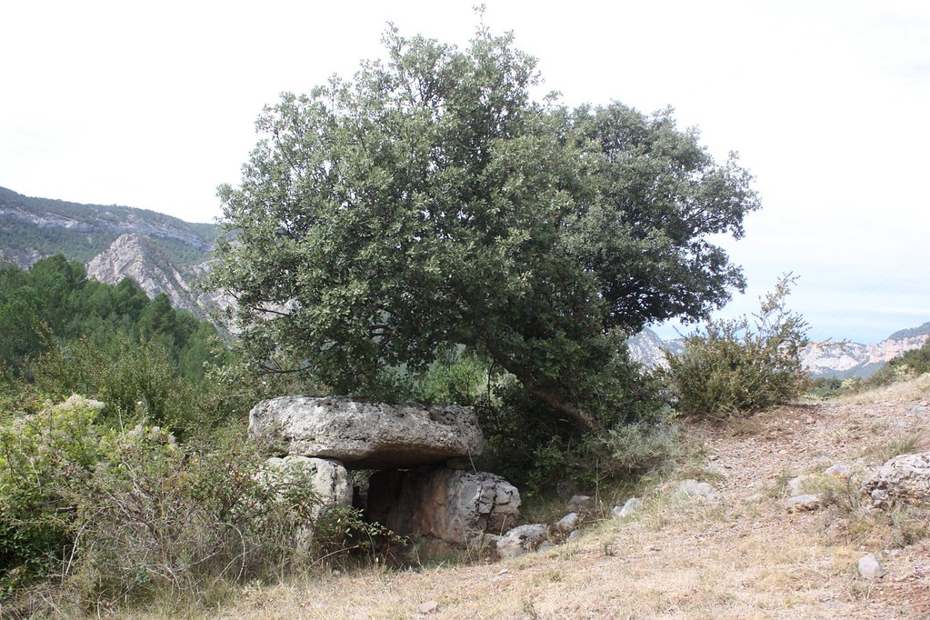 Dolmen del Molí de Favà