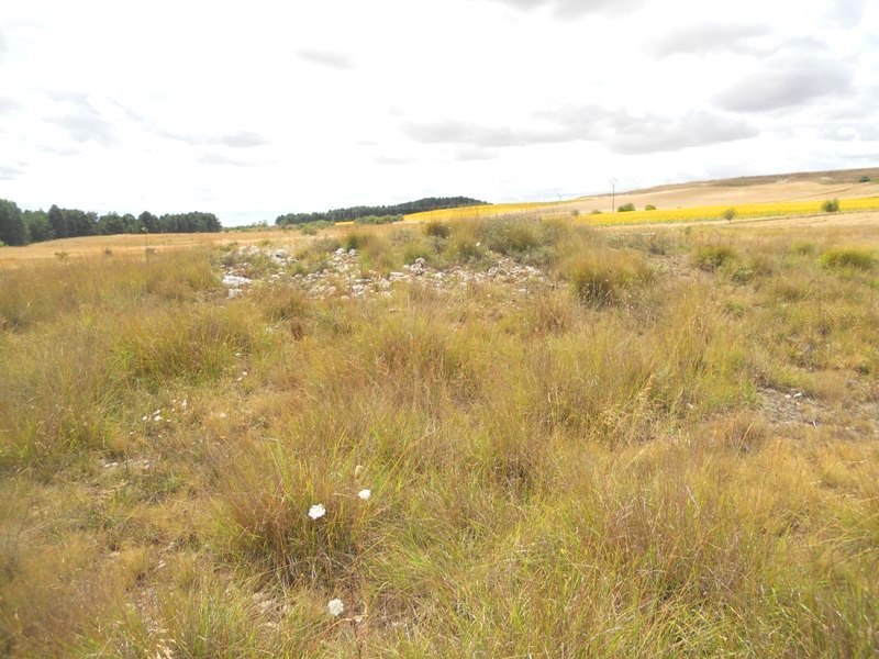 La Brujula tumulus