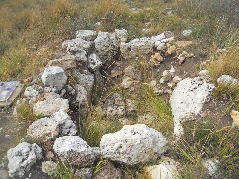 La Brujula tumulus (PID:81597) La Brujula tumulus