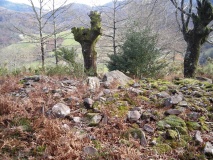 Arrondo dolmen - PID:43146