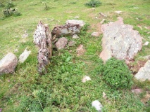 Cardal dolmen - PID:65922