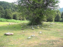 Vegaba�o 8 dolmen - PID:78633