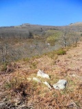 Aitzurrako Lepoa Dolmen - PID:87833
