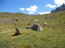 Barranco de Blancas W. dolmen - PID:81475