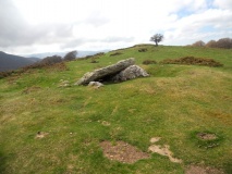 Soroluxe Dolmen - PID:106861