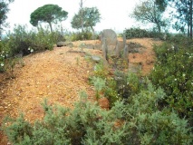 El Labradillo - PID:96724