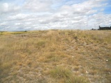 Click for full size image of La Brujula tumulus (PID:81594) La Brujula tumulus