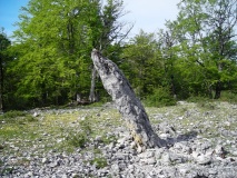 Bretxaga�a Menhir - PID:40703