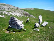 Uelogoena ipar dolmen - PID:91287