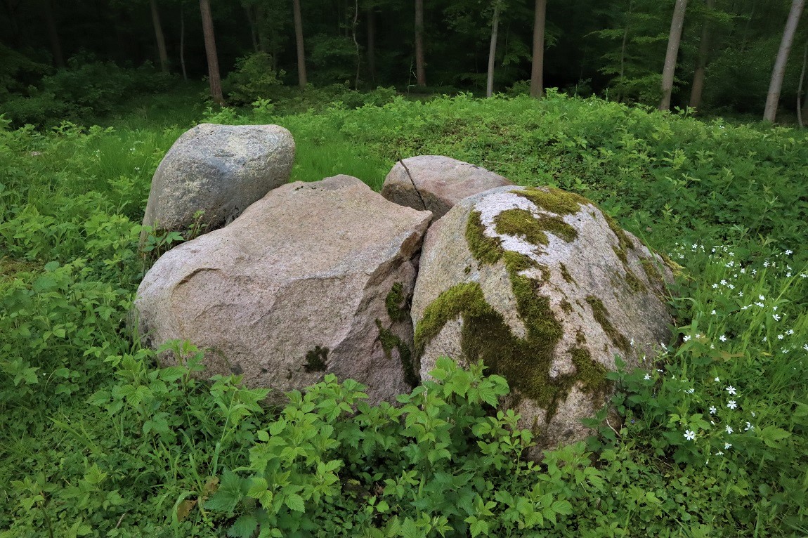 Hørret Skov Megalitgrav