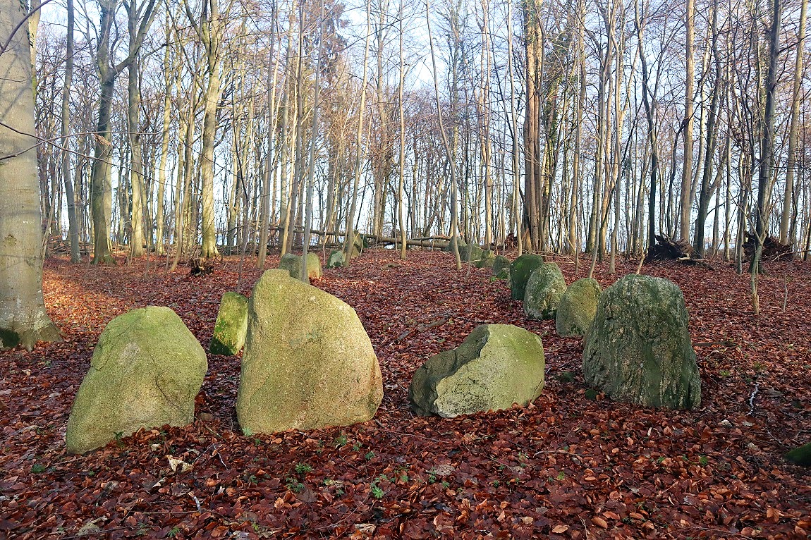 Sortsø Fredskov Langdysse 1