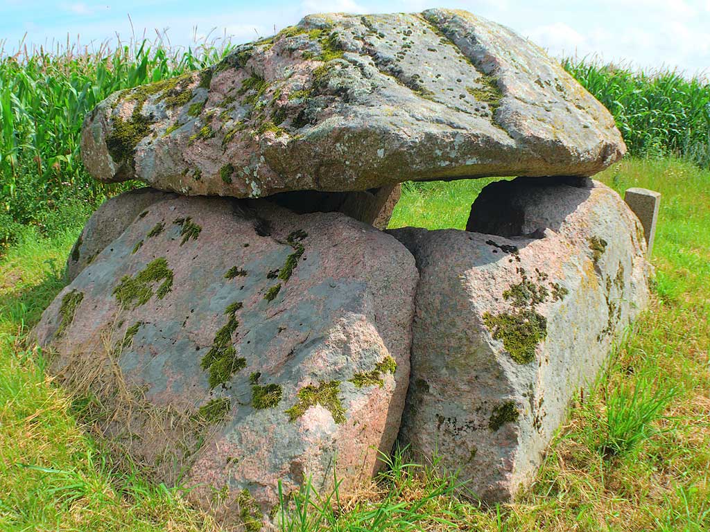 Megalitgrav (Burial Chamber) near Odense (Fyn)

Rectangular burial chamber, oriented ESE-WNW.

Chamber is approx. 2.5 m x 1.5 m and clearance under the capstones are up to 1.0 m.
Outside stone chamber measuring approx. 3.5 x 3.5 m.
The tomb is covered with a heavy capstone closing the entire chamber.
On the capstone are at least 18 cupmarks.

