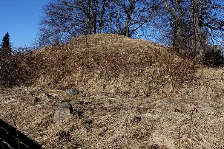 Danshøj (PID:74317) Danshøj