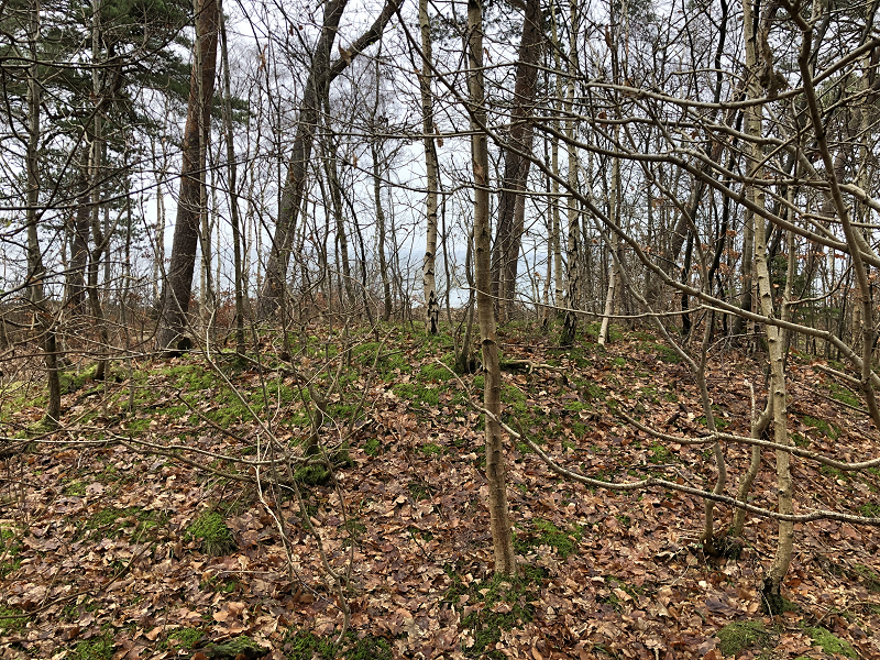 Hornbæk Plantage Stensætning