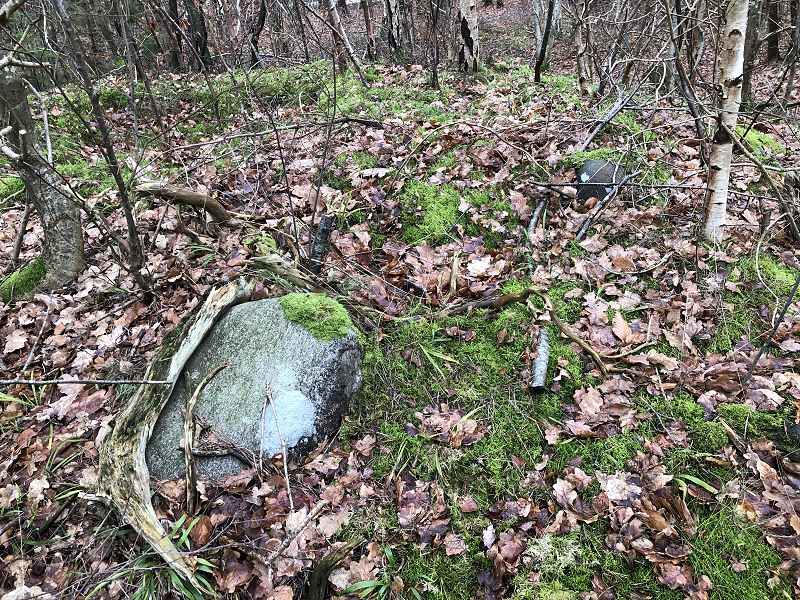 Hornbæk Plantage Stensætning