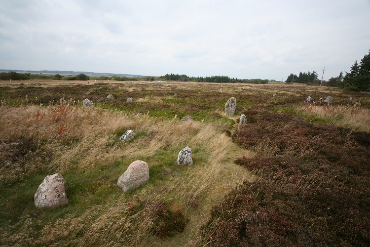 Tømmerby Vikingegravplads in North Jutland 